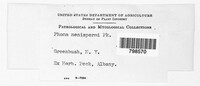Image Associated With the Occurence